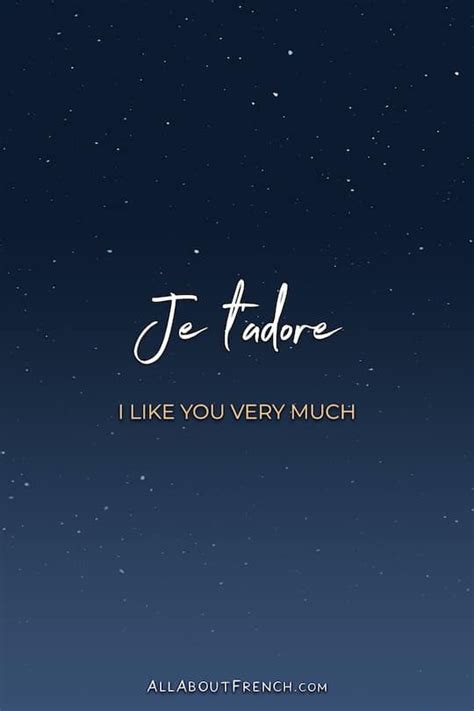 je t'adore meaning in english.